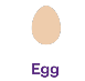 Egg